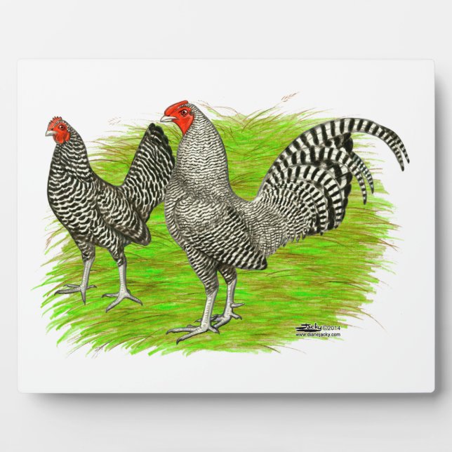 Old English Game Barred Chickens Plaque (Front)