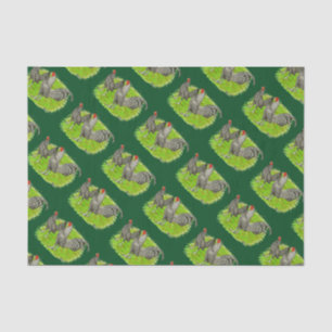 Old English Game Barred Chickens Tissue Paper
