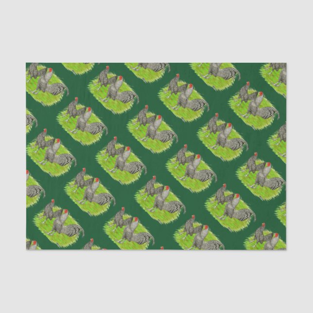 Old English Game Barred Chickens Tissue Paper (Front)