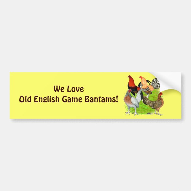 Old English Game Quartet Bumper Sticker (Front)