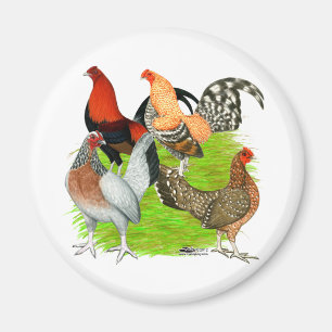 Old English Game Quartet Magnet