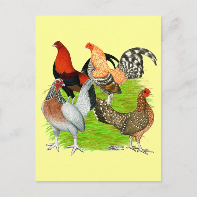 Old English Game Quartet Postcard (Front)