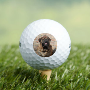 old english Mastiff Golf Balls