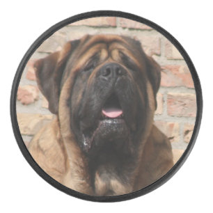 old english Mastiff Hockey Puck