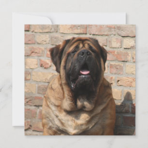 old English Mastiff Invitation