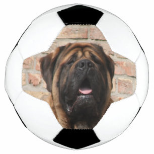 old english Mastiff Soccer Ball