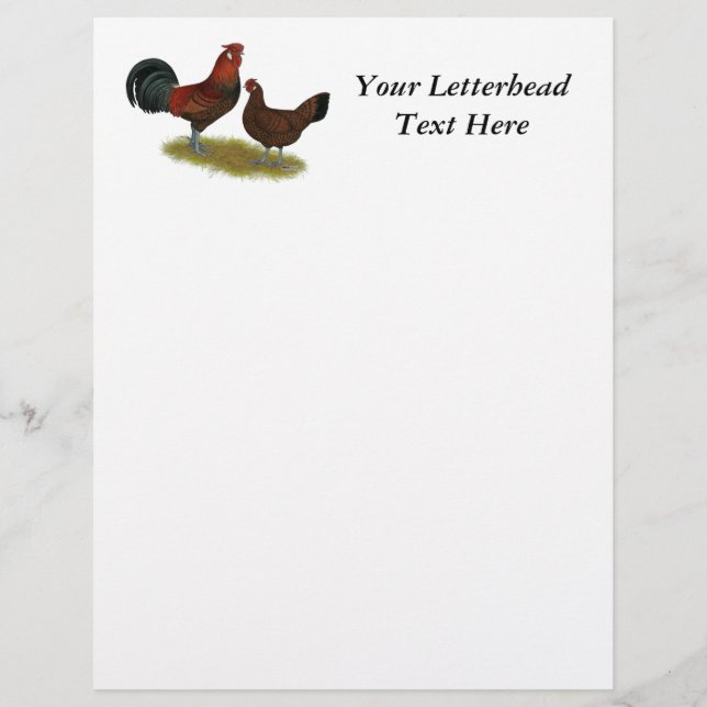Old English Pheasant Fowl (Front)