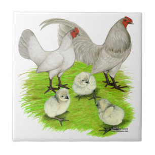 Old English Self Blue Bantam Family Tile