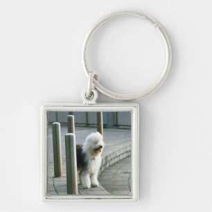 Old English Sheep Dog 2 Key Ring