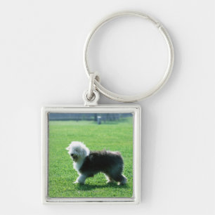 Old English Sheep Dog Key Ring