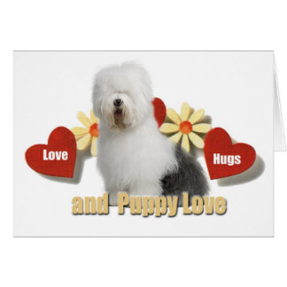 Old English Sheepdog