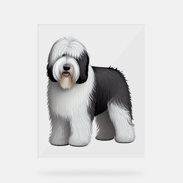 Old English Sheepdog  10 Acrylic Sign (Front)