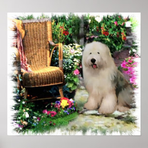 Old English Sheepdog Art Print