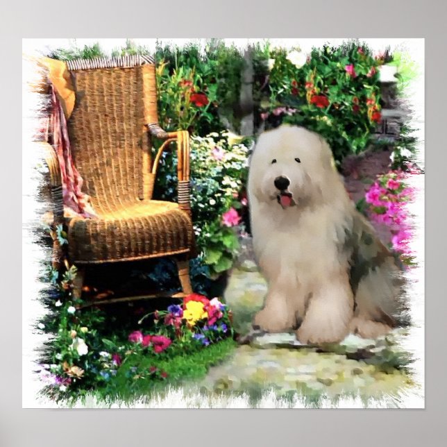 Old English Sheepdog Art Print (Front)
