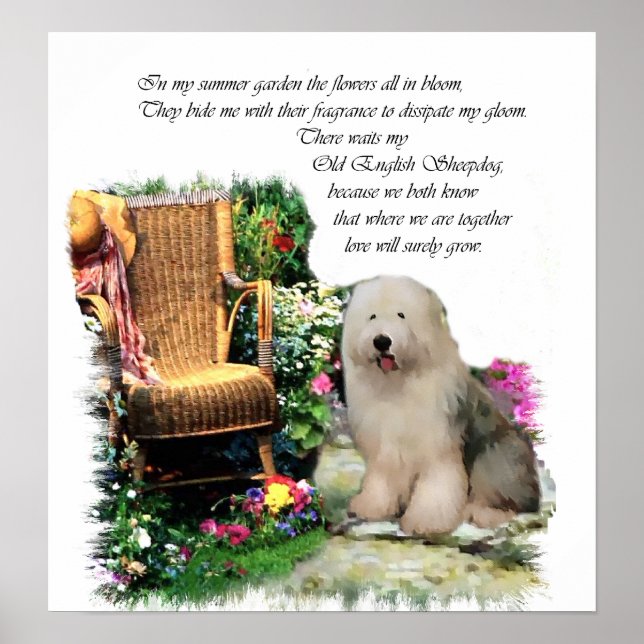 Old English Sheepdog Art Print (Front)