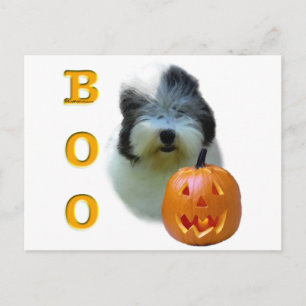 Old English Sheepdog Boo Postcard
