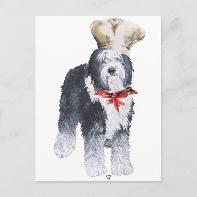 Old English Sheepdog Chef of Love Postcard (Front)