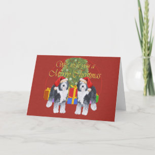 Old English Sheepdog Christmas Holiday Card