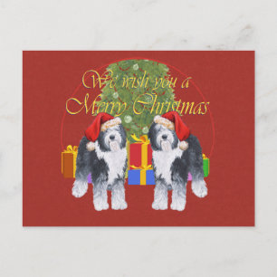 Old English Sheepdog Christmas Holiday Postcard