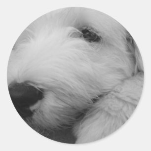 Old English Sheepdog Classic Round Sticker
