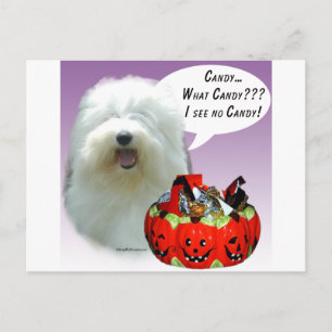 Old English Sheepdog Halloween Candy Postcard