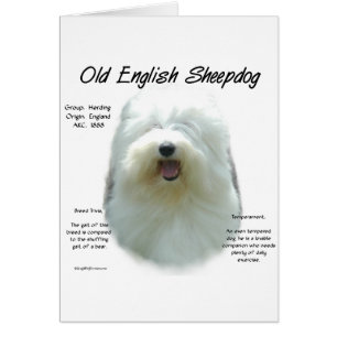 Old English Sheepdog History Design