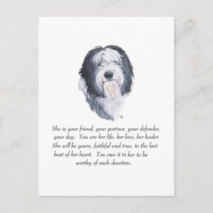 Old English Sheepdog Keepsakes Postcard