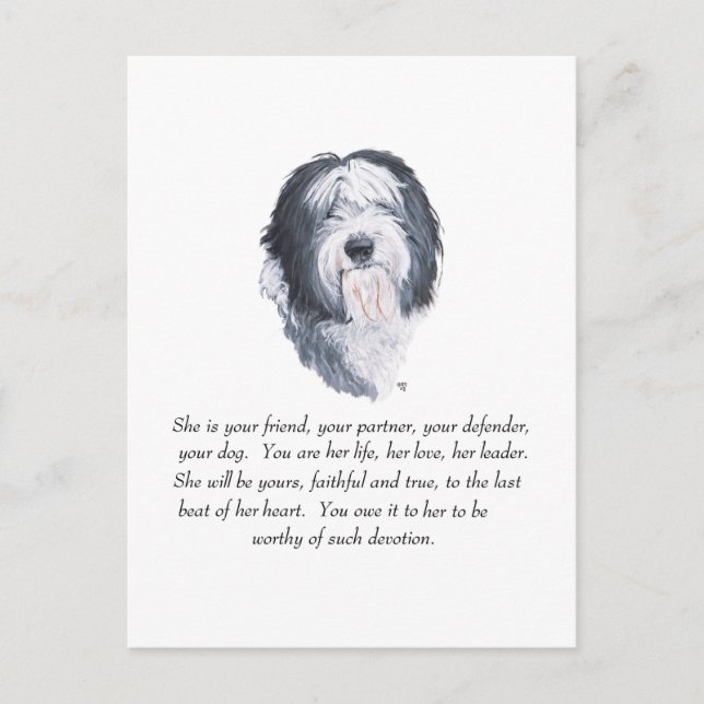 Old English Sheepdog Keepsakes Postcard (Front)