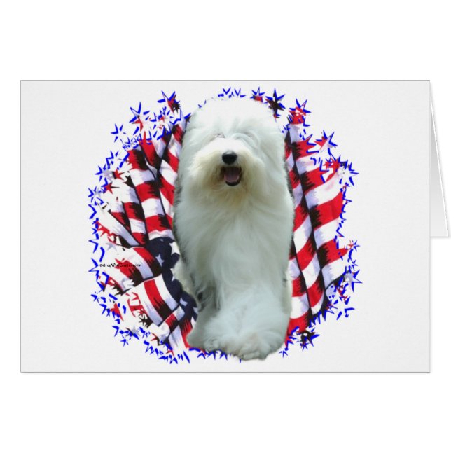 Old English Sheepdog Patriot (Front Horizontal)
