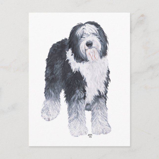 Old English Sheepdog Postcard (Front)