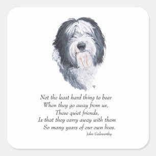 Old English Sheepdog Rainbow Bridge Square Sticker