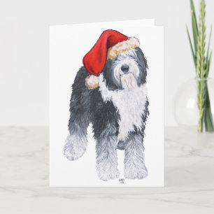 Old English Sheepdog Santa Hat Holiday Card