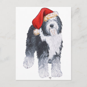 Old English Sheepdog Santa Hat Holiday Postcard