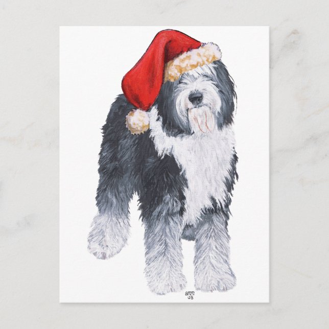 Old English Sheepdog Santa Hat Holiday Postcard (Front)