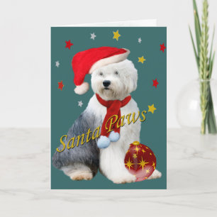Old English Sheepdog Santa Paws Holiday Card