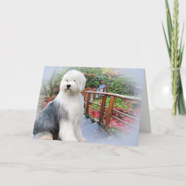 Old English Sheepdog Spring Day Card (Front)