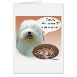 Old English Sheepdog Turkey