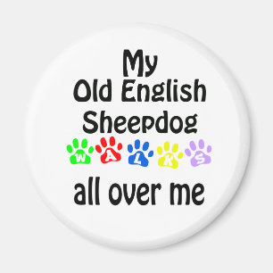 Old English Sheepdog Walks Design Magnet