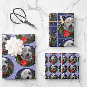 Old English Sheepdog Wrapping Paper Sheet