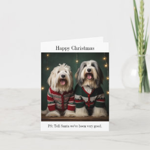 Old English Sheepdogs Christmas Card