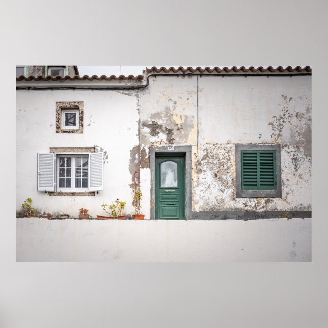Old European Building Facade with Green Door Poster (Front)