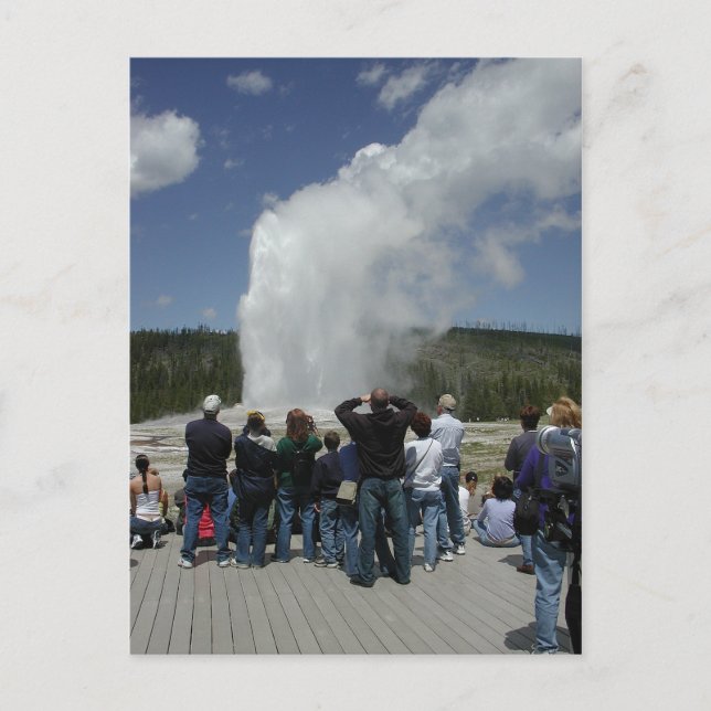 Old Faithful Geyser Postcard (Front)