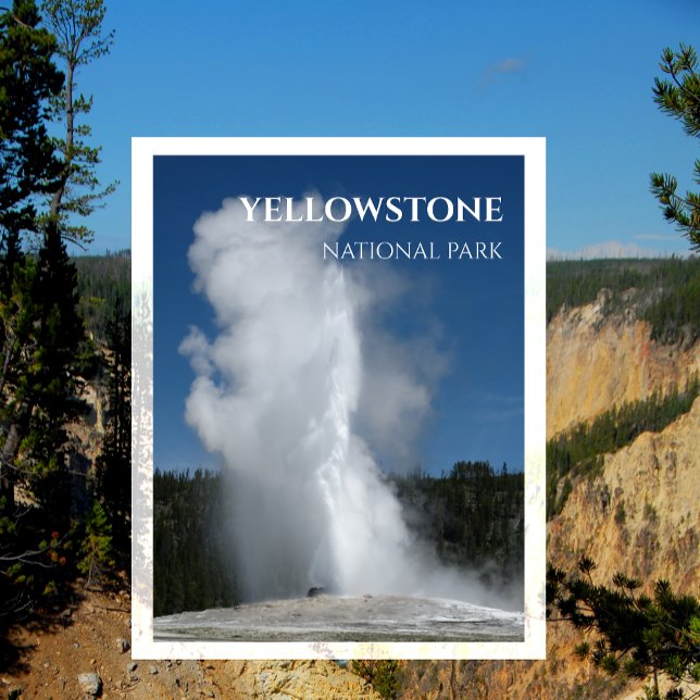 Old Faithful Geyser, Yellowstone National Park Postcard (Creator Uploaded)