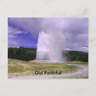 Old Faithful in Yellowstone National Park Postcard