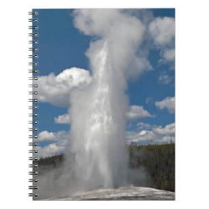 Old Faithful - Notebook