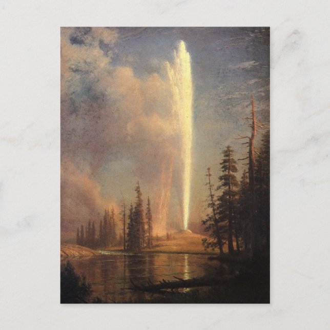 Old Faithful Postcard (Front)
