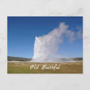 Old Faithful postcard