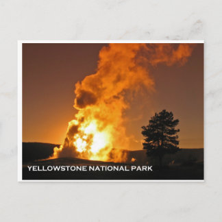 Old Faithful Sunset Postcard