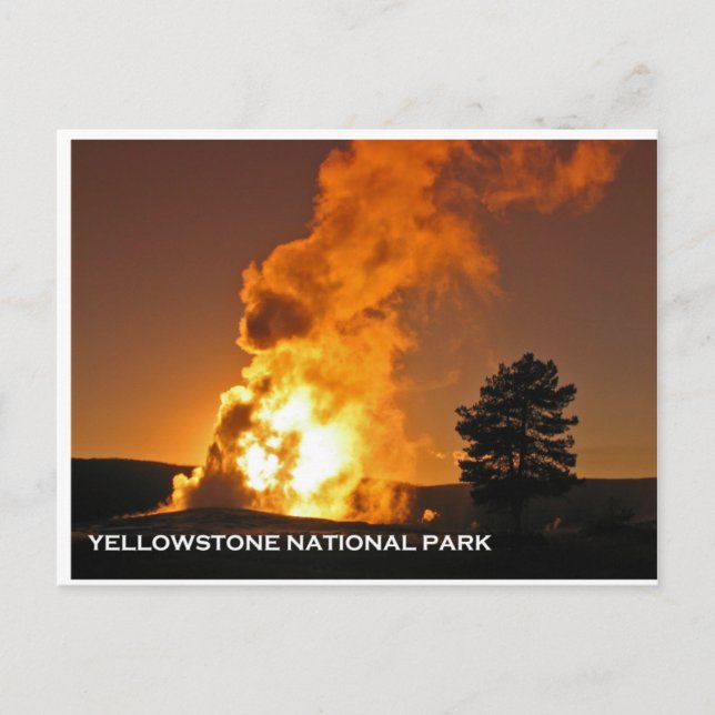 Old Faithful Sunset Postcard (Front)
