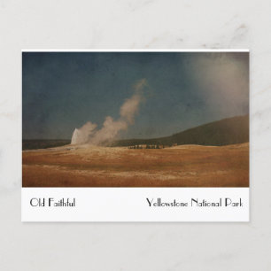 Old Faithful Vintage Postcard